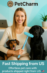 Multi-functional Window Cleaning Brush And Mini Pet Hair Remover, Professional Window Cleaning Tool For Home Use