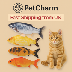Cat Toys Fish USB Charger Fish Interactive Electric Floppy Fish Cat Toy Realistic Pet Cats Chew Bite Toys Pet Supplies Cats Dog