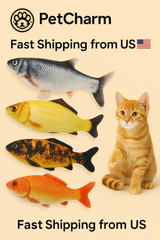 Cat Toys Fish USB Charger Fish Interactive Electric Floppy Fish Cat Toy Realistic Pet Cats Chew Bite Toys Pet Supplies Cats Dog