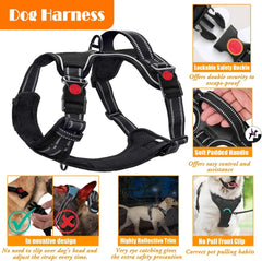 No Pull Dog Harness, Collar & Leash Set | Includes Dog Seat Belt, Collapsible Bowls & Poop Bag Dispenser. Ideal for Training,