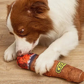 Funny Dog Plush Sound Toys Simulation Plush Cigar Squeak Toys for Small Large Dogs Resistant Chewing Toy Pet Supplies