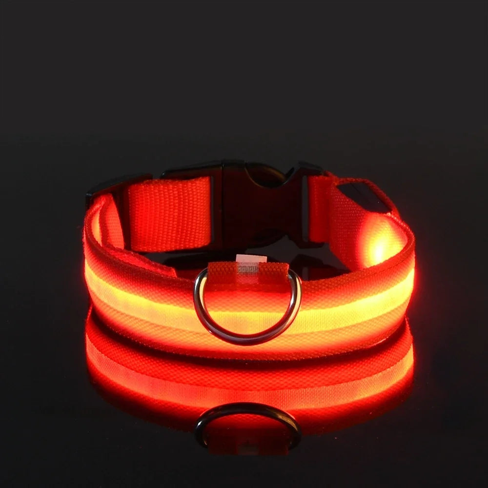 Hundehalsband aus Nylon, LED-Nachtsicherheit, blinkend, leuchtet im Dunkeln, Hundeleine, leuchtendes fluoreszierendes Hundezubehör
