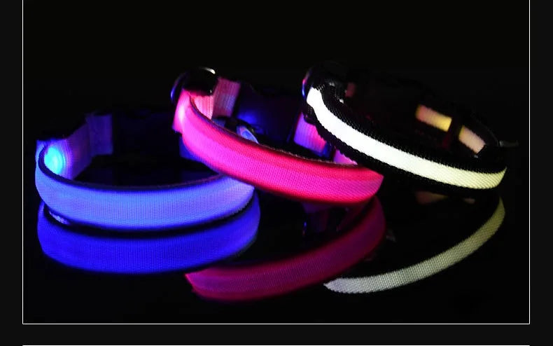 Hundehalsband aus Nylon, LED-Nachtsicherheit, blinkend, leuchtet im Dunkeln, Hundeleine, leuchtendes fluoreszierendes Hundezubehör